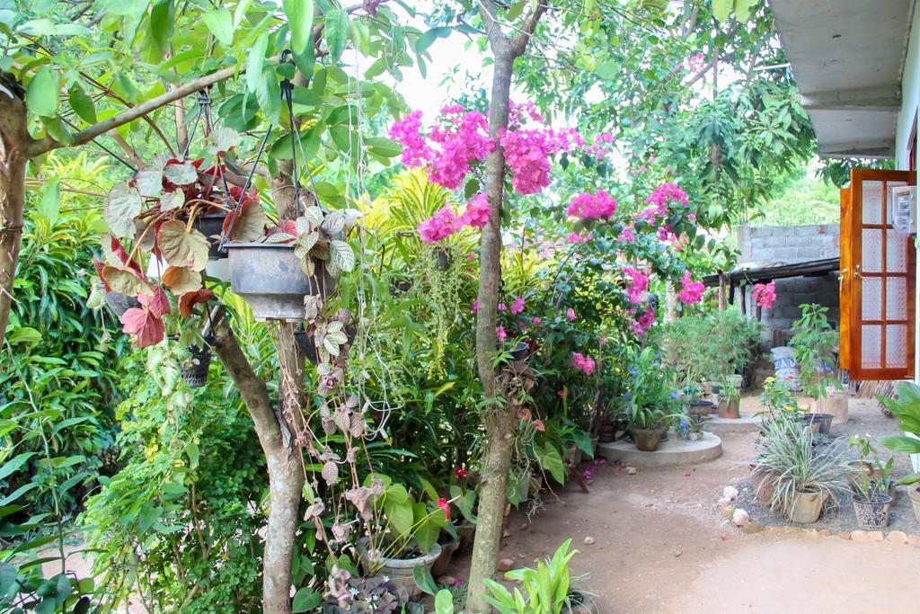 Nethum Rest Hotel Mirissa Ngoại thất bức ảnh